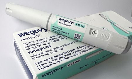 tagreuters.com2024binary_LYNXNPEK260E3-VIEWIMAGE